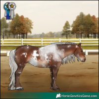 Horse Color:White Spotted Silver Brown Rabicano