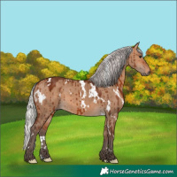Horse Color:White Spotted Silver Brown Dun Brindle 