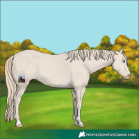 Horse Color:Smoky Creme 