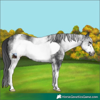 Horse Color:White Spotted Black Frame 