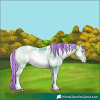 Horse Color:Painted Watercolor White Spotted Silver Brown Chinchilla Pearl Onyx Mushroom
