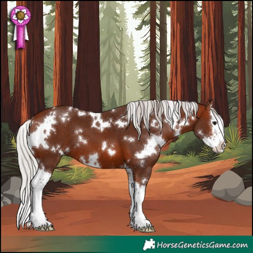 Horse Color:White Spotted Silver Brown Sabino Splash 