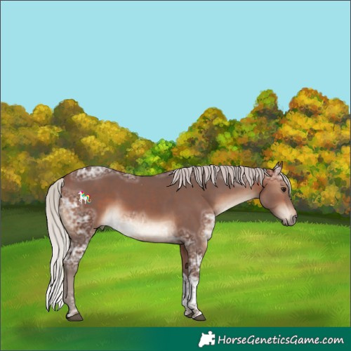 Horse Color:Silver Bay Ice Tobiano 