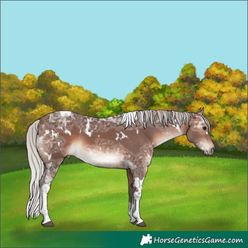 Horse Color:White Spotted Silver Brown Ice Tobiano 