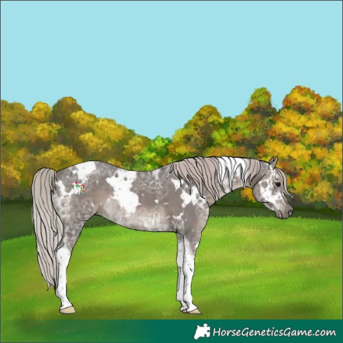 Horse Color:White Spotted Silver Black Ice Tobiano Rabicano 