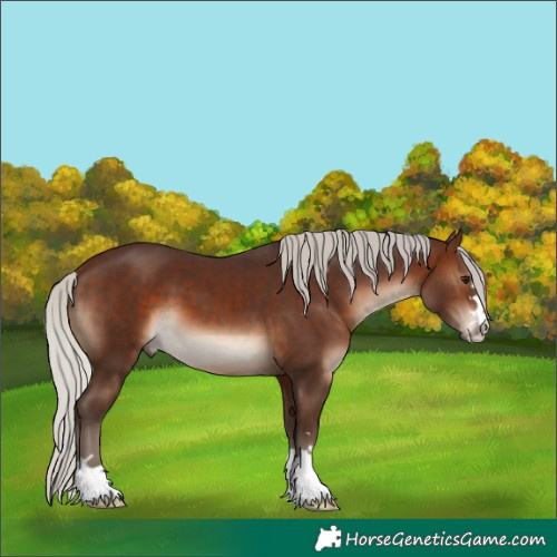 Horse Color:Silver Brown