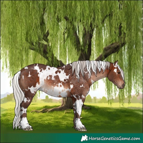 Horse Color:White Spotted Silver Brown 