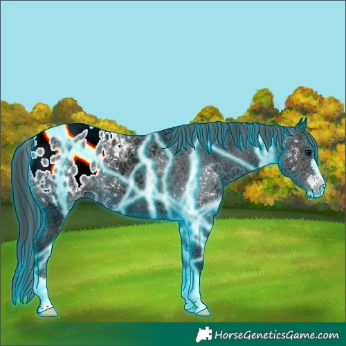 Horse Color:Thunderstruck Black Ice Blanket 