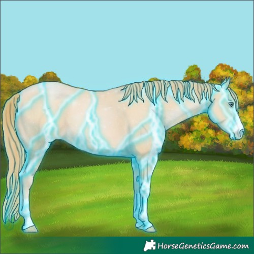 Horse Color:Thunderstruck Smoky Black Pearl Appaloosa 