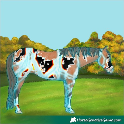 Horse Color:Thunderstruck Bay Frame Blanket