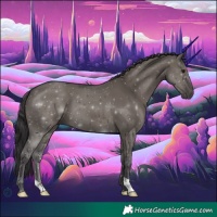 Horse Color:Smoky Grullo 