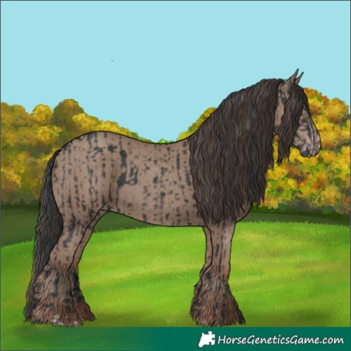 Horse Color:Black  and Classic Champagne 