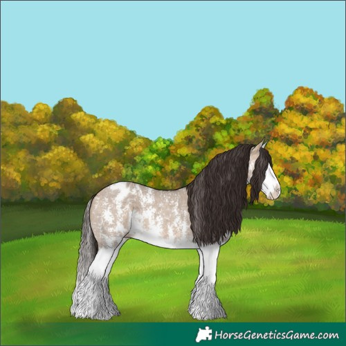 Horse Color:Bay Dun Sabino Splash Varnish