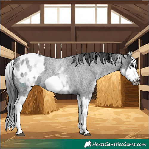Horse Color:White Spotted Blue Roan Splash Frame Blanket
