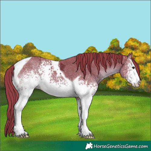 Horse Color:Watercolor White Spotted Liver Chestnut Ice Tobiano