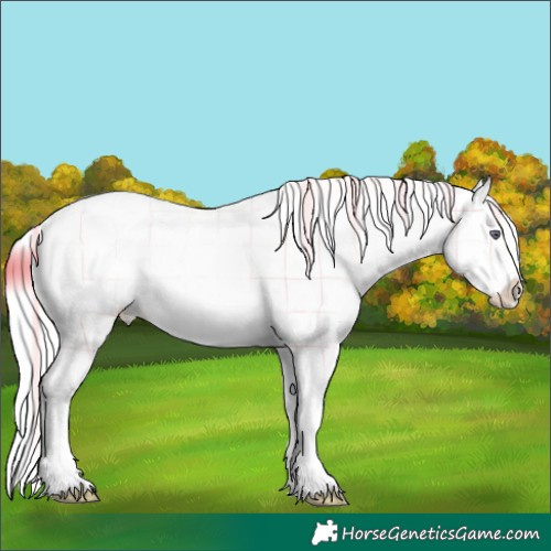 Horse Color:Plaid Gold Champagne Chinchilla Ice Sabino Splash Appaloosa