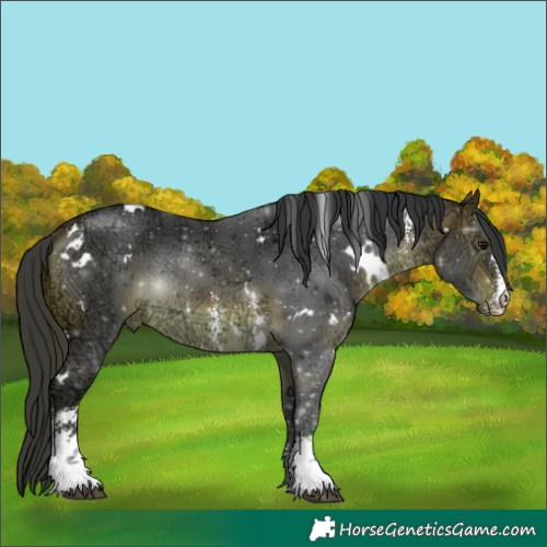 Horse Color:White Spotted Brown Ice Sabino 