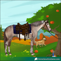 Horse Color:Gray Chocolate Brown Dun Tobiano Rabicano 