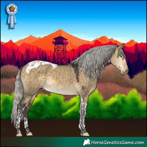 Horse Color:Silver Buckskin Dun Tobiano 