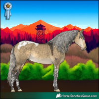 Horse Color:Silver Buckskin Dun Tobiano 