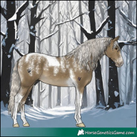 Horse Color:Powder White Silver Smoky Grullo Tobiano