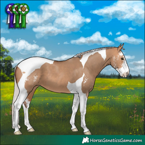 Horse Color:Silver Bay Dun Sabino Tobiano 