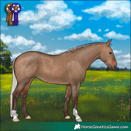Horse Color:Silver Brown Dun 