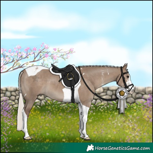Horse Color:Silver Grullo Sabino Tobiano