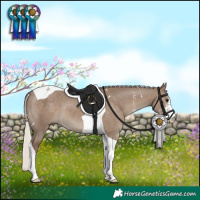 Horse Color:Silver Grullo Sabino Tobiano 