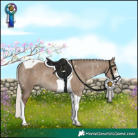 Horse Color:Silver Grullo Sabino Tobiano 