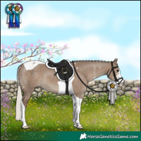 Horse Color:Silver Grullo Sabino Tobiano 