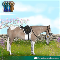 Horse Color:Silver Grullo Sabino Tobiano