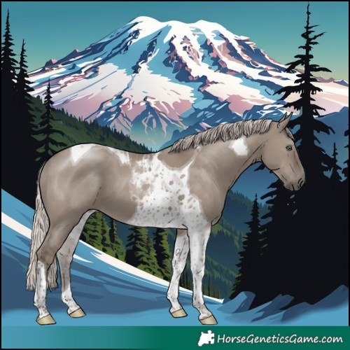 Horse Color:Silver Grullo Tobiano 