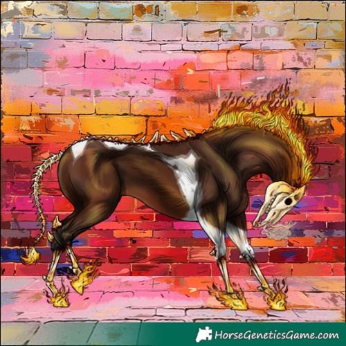 Horse Color:Gray Bay Tobiano 