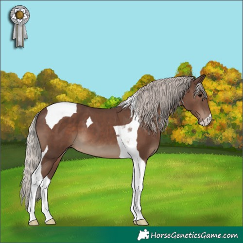 Horse Color:Silver Black Tobiano 
