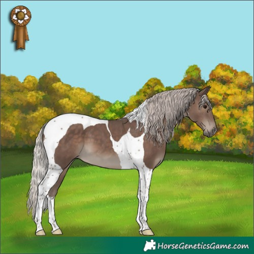 Horse Color:Silver Black Tobiano 