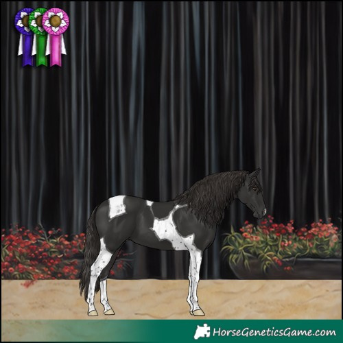 Horse Color:Liver Chestnut Tobiano 