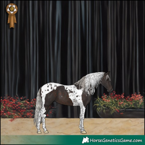 Horse Color:Silver Brown Tobiano 