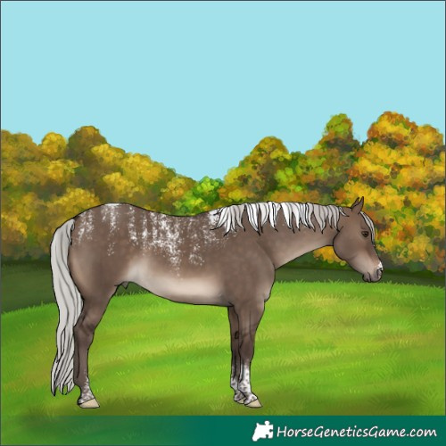 Horse Color:Powder White Silver Brown Dun Tobiano 