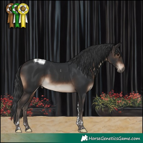 Horse Color:Brown Tobiano 