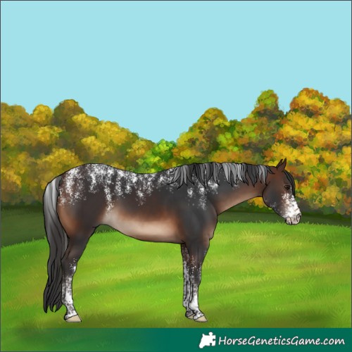 Horse Color:Powder White Brown 