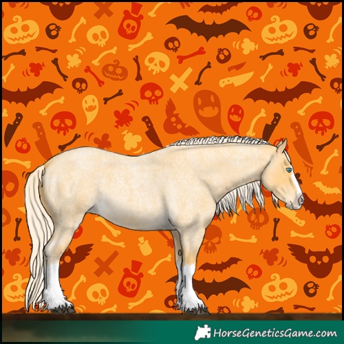 Horse Color:Palomino Roan Splash 