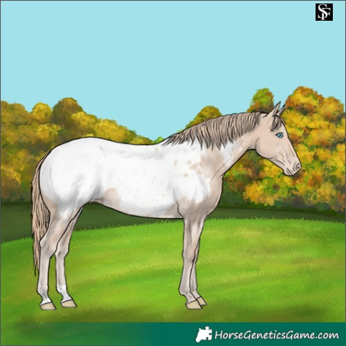 Horse Color:Smoky Creme Near Fewspot 