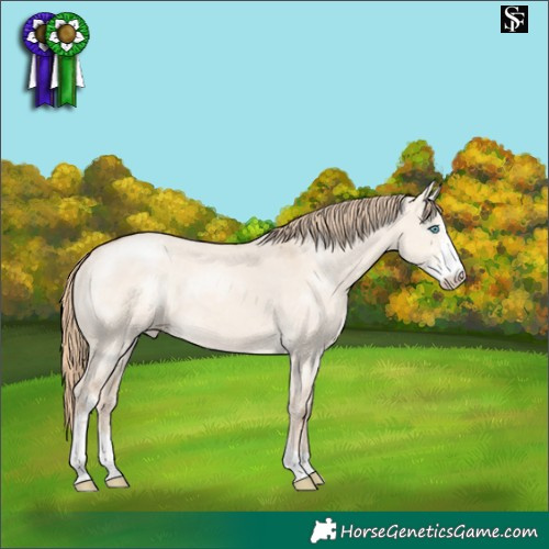 Horse Color:Perlino Dun Sabino Varnish 