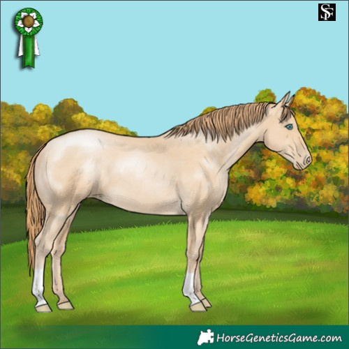 Horse Color:Smoky Black Pearl 