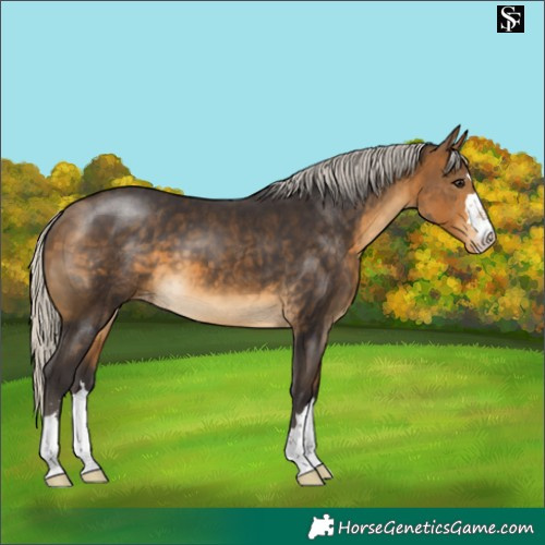 Horse Color:Silver Buckskin Varnish 