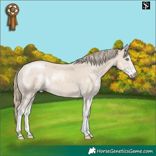 Horse Color:Smoky Creme Sabino 