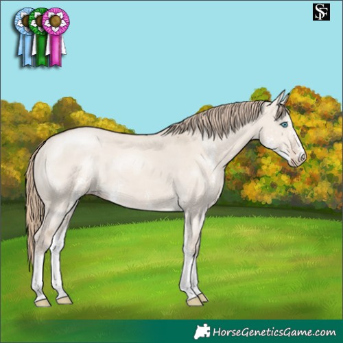 Horse Color:Smoky Creme Dun Sabino 