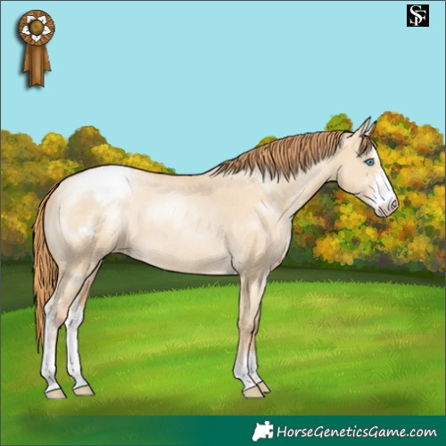 Horse Color:Smoky Grullo Pearl Sabino Varnish 