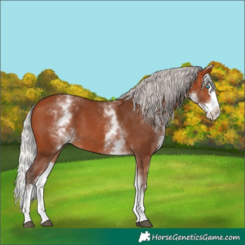Horse Color:White Spotted Silver Bay Splash 